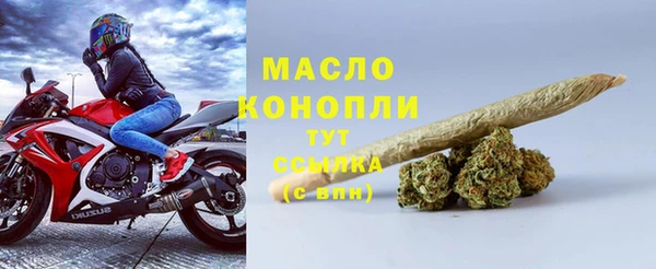гидра Абаза