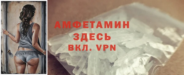 гидра Абаза