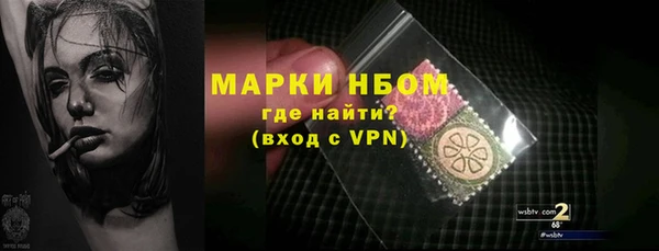 гидра Абаза