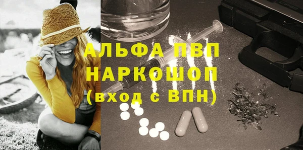 гидра Абаза