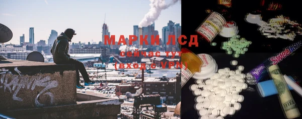 гидра Абаза