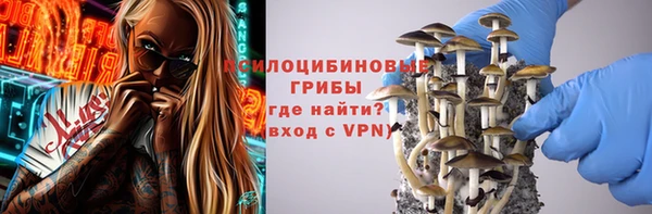шишки Нягань